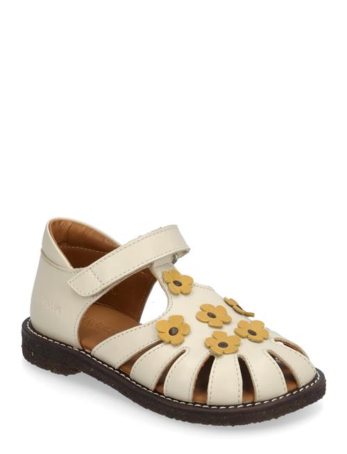 Sandals - Flat - Closed Toe ANGULUS Cream