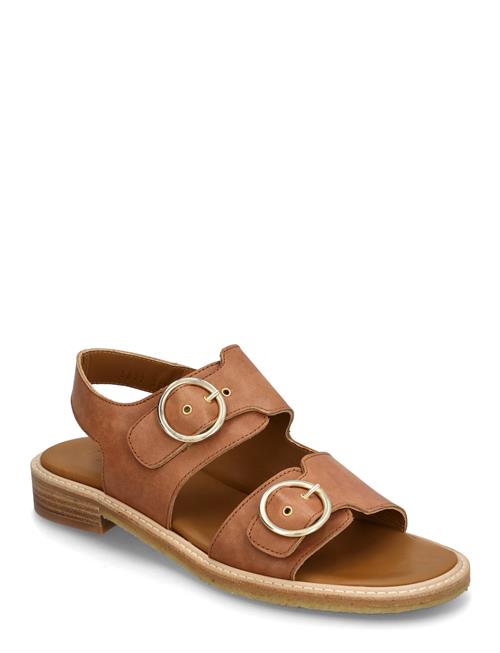 Sandals - Flat - Open Toe - Op ANGULUS Brown