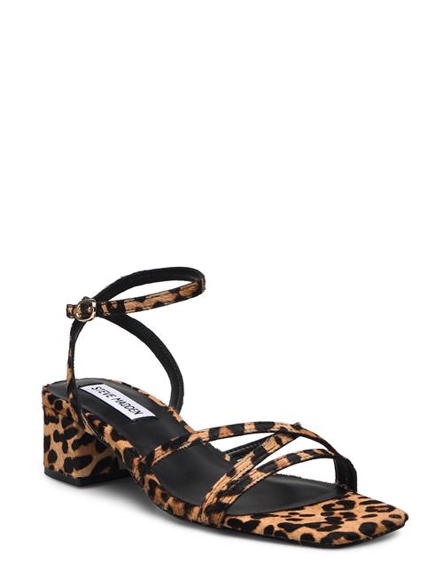 Gabby-L Sandal Steve Madden Brown