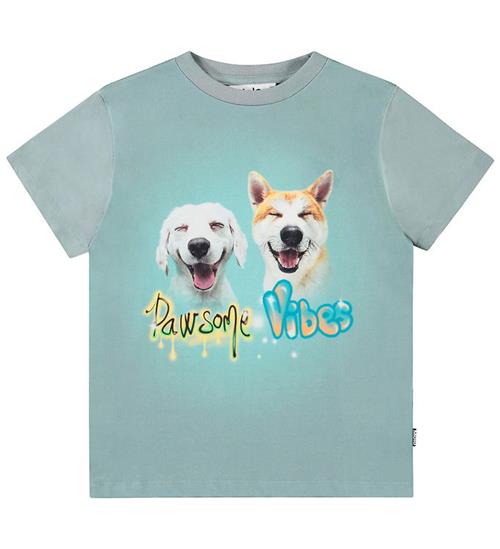 Molo T-shirt - Rame - Pawsome Vibes