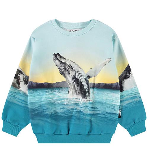 Molo Sweatshirt - Miksi - Whale Jump