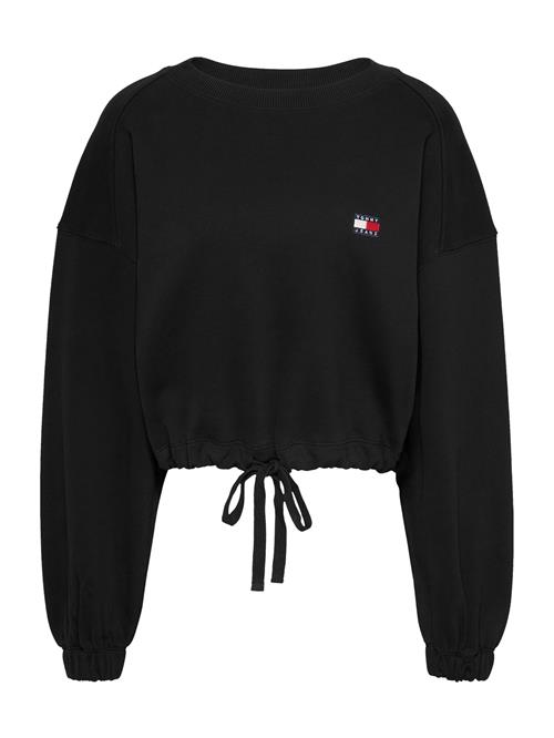 Tommy Jeans Sweatshirt  navy / rød / sort / hvid