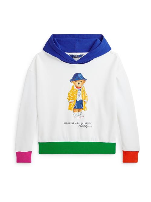 Polo Ralph Lauren Sweatshirt  blå / grøn / pink / hvid