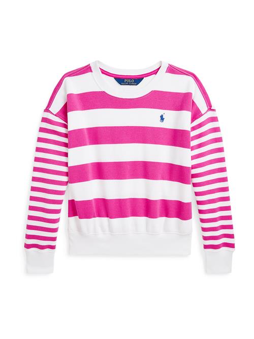 Polo Ralph Lauren Sweatshirt  mørk pink / hvid