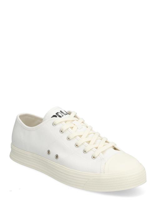 Armin Canvas Low-Top Sneaker Polo Ralph Lauren White