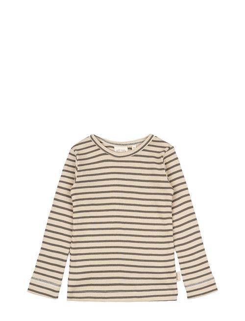 T-Shirt L/S Modal Striped Petit Piao Brown