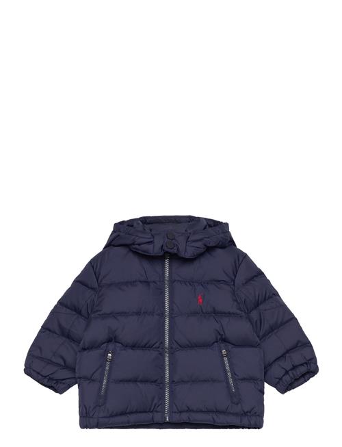 Ripstop Hooded Down Jacket Ralph Lauren Baby Navy