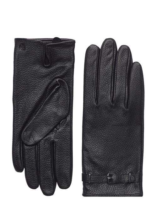 Belted Glove-Glove Lauren Ralph Lauren Black