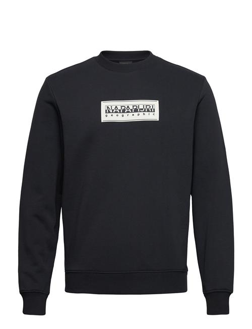 Box Logo Sweatshirt Napapijri Black