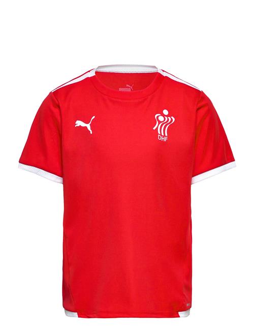 Teamliga Jersey Jr PUMA Red