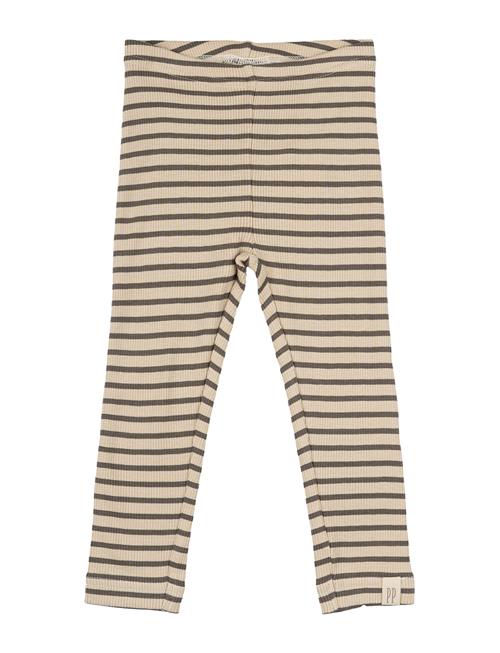 Legging Modal Striped Petit Piao Brown