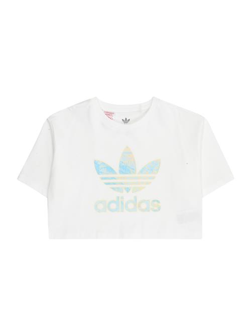 ADIDAS ORIGINALS Bluser & t-shirts  lyseblå / hvid