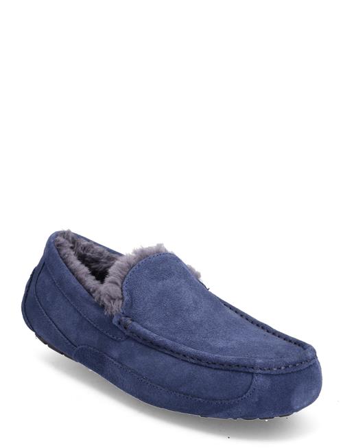 M Ascot UGG Navy