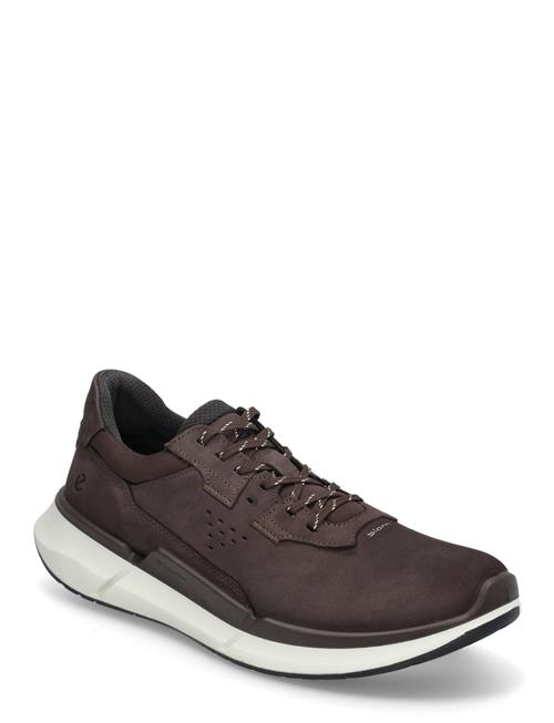 Biom 2.2 M ECCO Brown