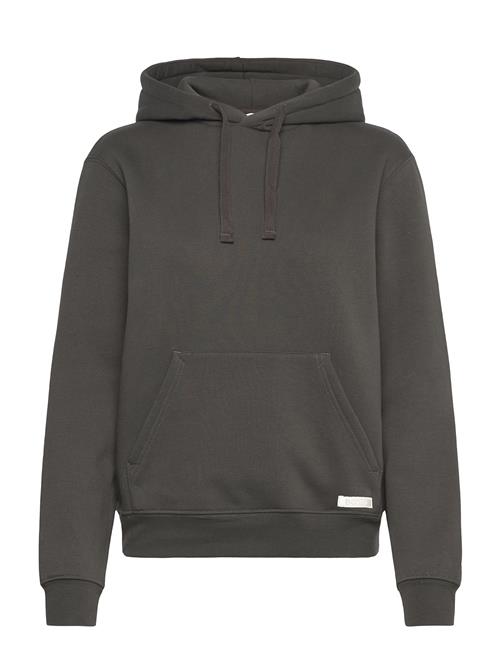 Centre Hoodie Björn Borg Grey