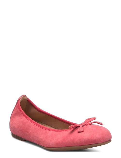 Acor_25_Ks UNISA Pink