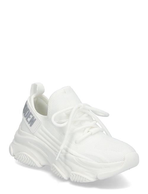 Jprotégé Sneaker Steve Madden White