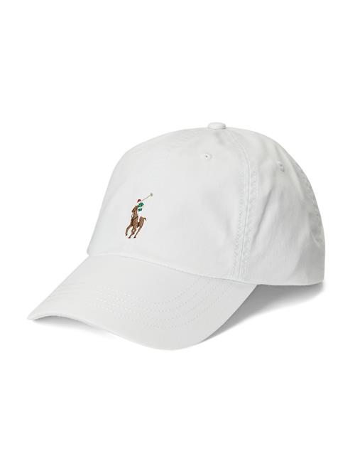 Polo Ralph Lauren Hætte  brun / grøn / rød / hvid