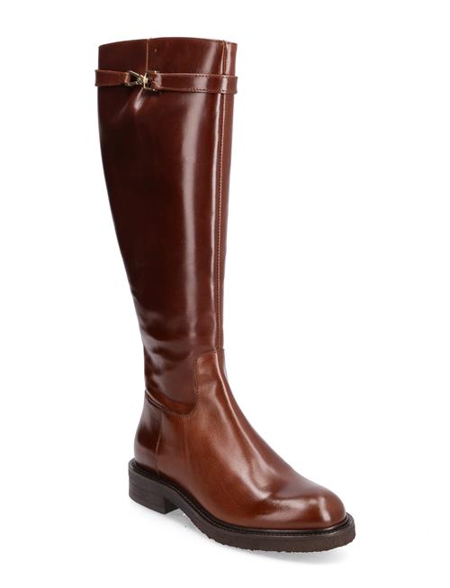 Long Boots Billi Bi Brown