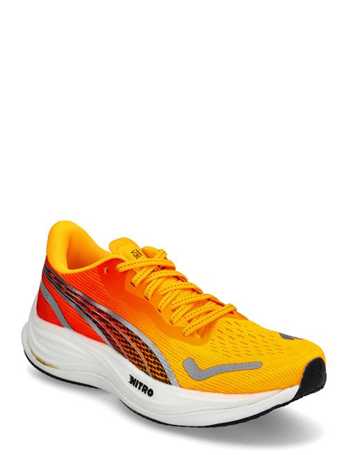 Velocity Nitro 3 Fade Wns PUMA Orange