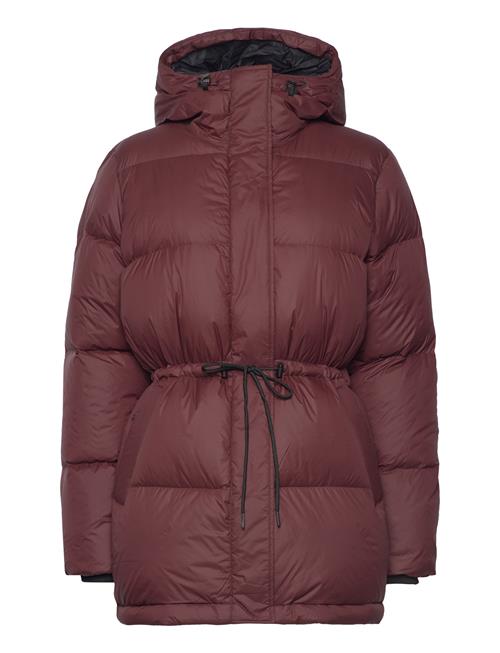 W Down Hood Parka Peak Performance Burgundy