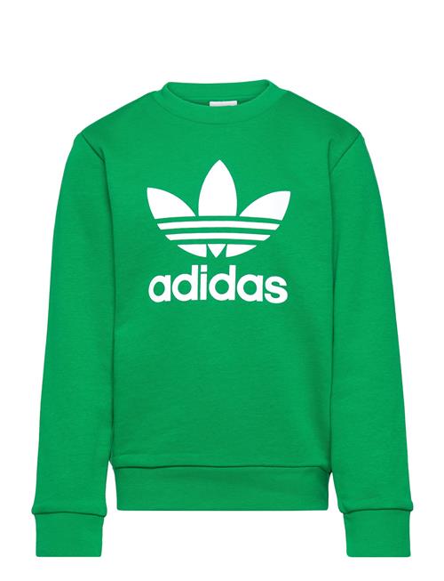 Trefoil Crew Adidas Originals Green