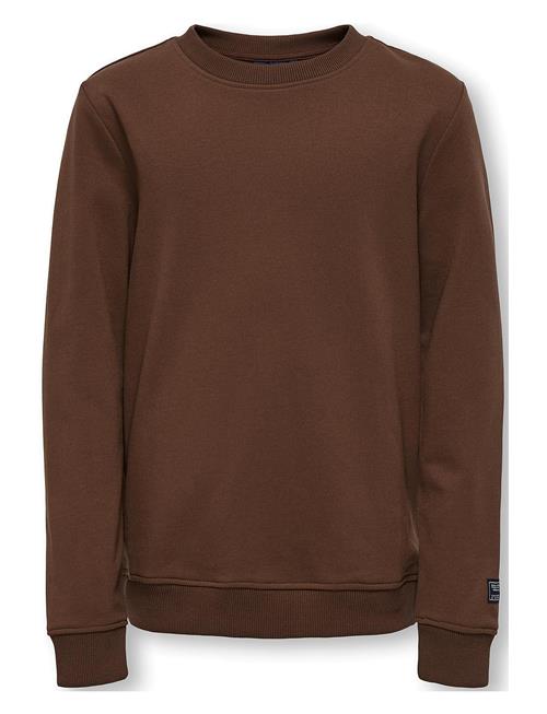 Kobmontgomery L/S Print Swt Kids Only Brown