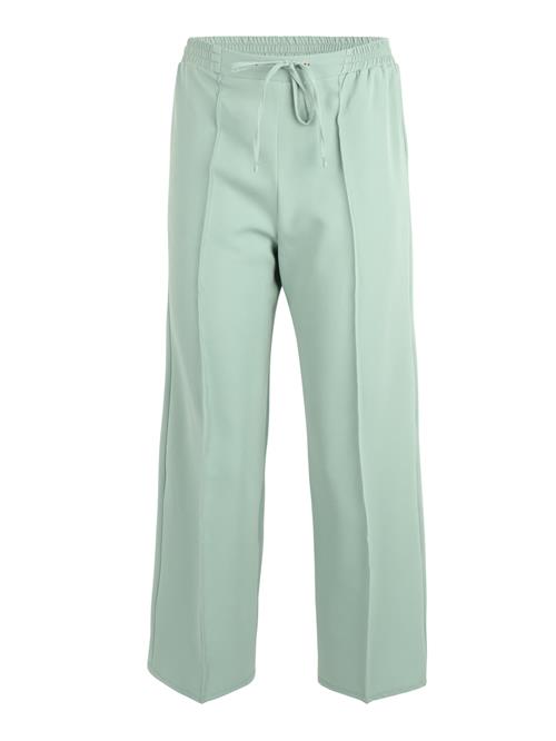 Dorothy Perkins Petite Bukser med fals  mint