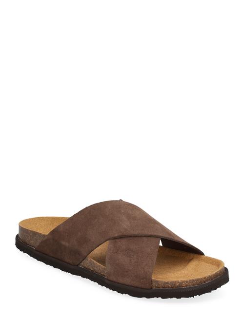 Sl Leon Suede Dk Brown Scholl Brown