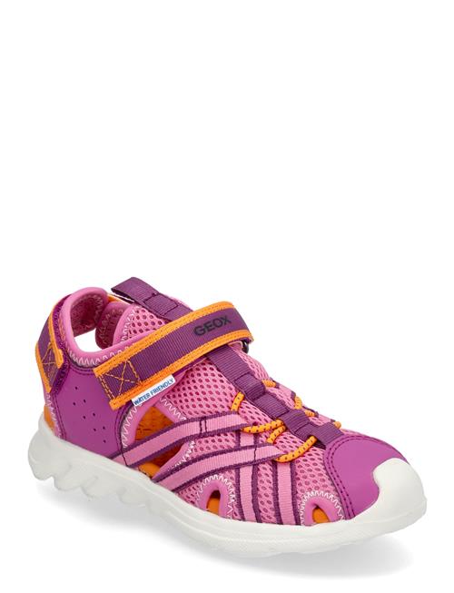 J Sandal Airadyum Gi GEOX Pink