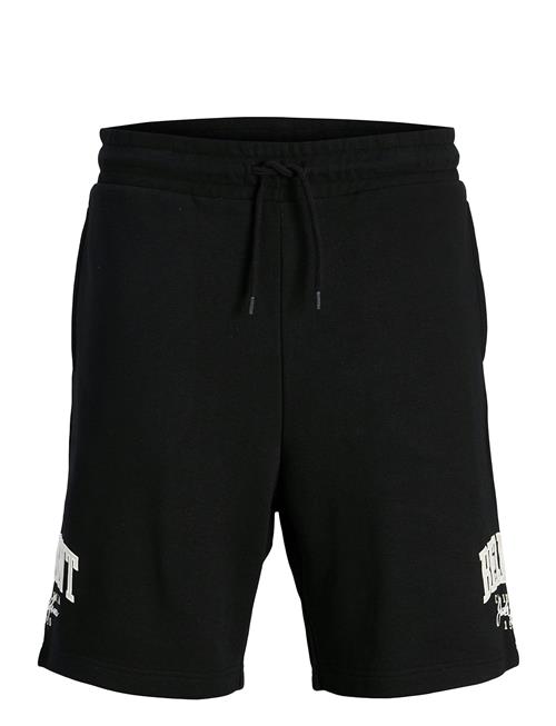 Jack & Jones Jpstkane Detroit Sweat Shorts Mid Jack & J S Black