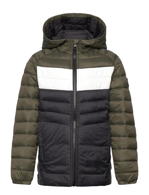 Jack & Jones Jjesprint Puffer Hood Noos Jnr Jack & J S Green