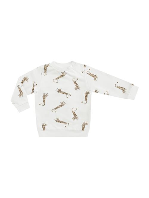 JACKY Sweatshirt 'BABY ON TOUR'  brun / offwhite