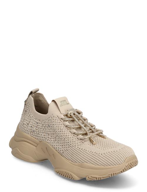 Meter Sneaker Steve Madden Beige