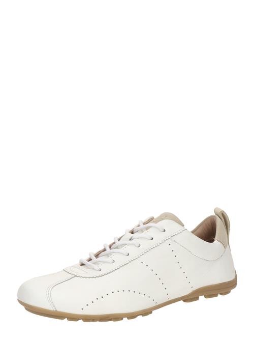 SALAMANDER Sneaker low  beige / hvid