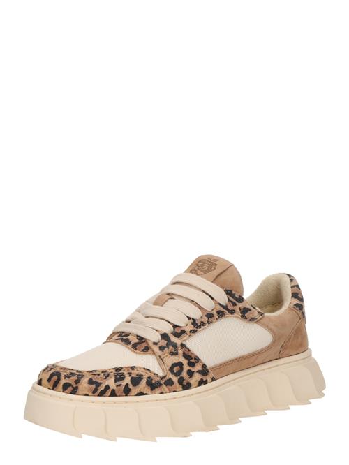 Apple of Eden Sneaker low 'LONDON'  beige / brun / sort