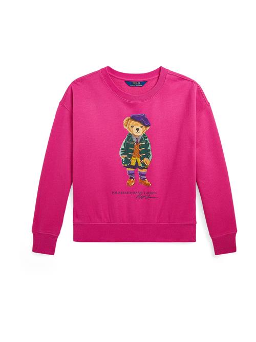 Polo Ralph Lauren Sweatshirt  karamel / mørkegrøn / lilla / fuchsia