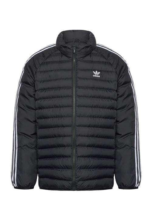 Adidas Originals Padded Collar Adidas Originals Black