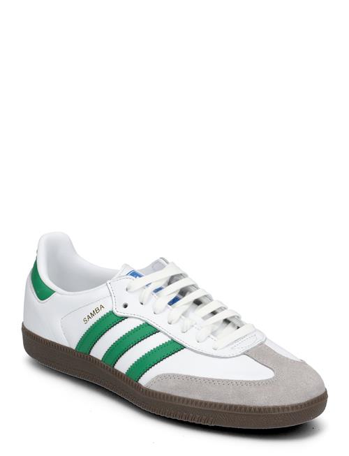 Samba Og Adidas Originals White