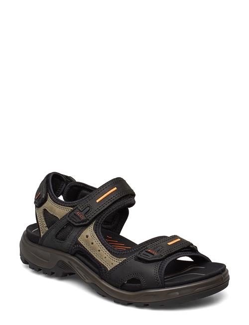 Se Offroad ECCO Black ved Booztlet