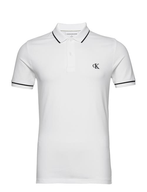 Tipping Polo Calvin Klein Jeans White