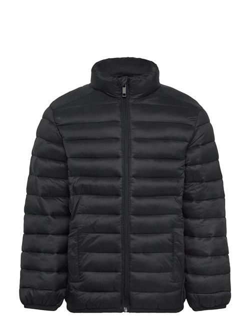 Quilted Jacket Mango Black