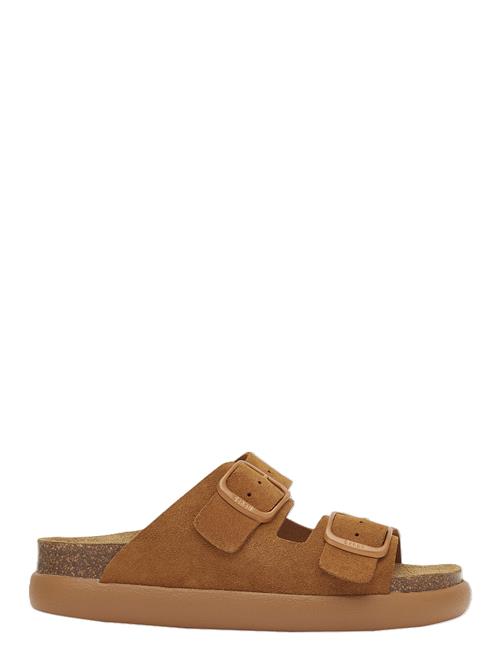 Sl Noelle Chunky Suede Cognac Scholl Brown