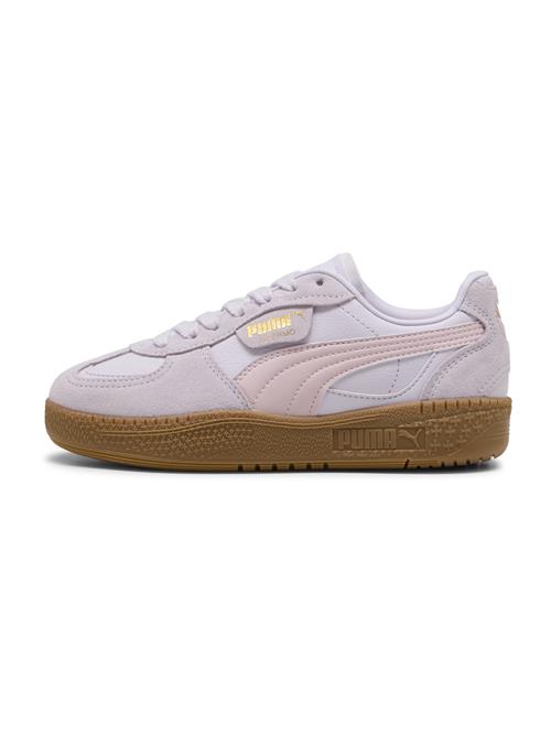 PUMA Sneakers 'Palermo Moda'  guld / lilla / lyselilla