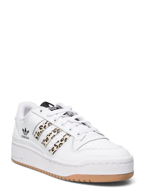 Forum Bold Adidas Originals White