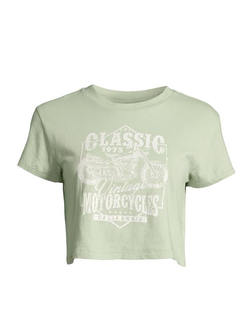 Se AÉROPOSTALE Shirts  mint / hvid ved About You