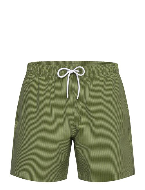 Anf Mens Swim Abercrombie & Fitch Green