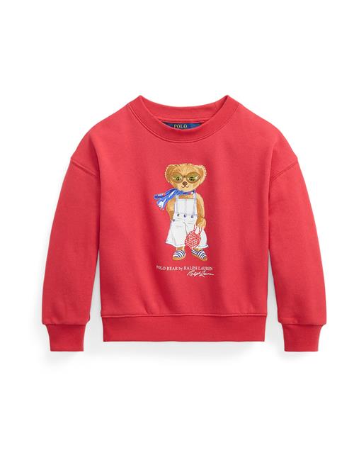 Se Polo Ralph Lauren Sweatshirt  blå / lysebrun / lys rød / hvid ved About You