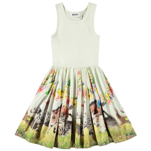 Molo Cassandra Short-Sleeved Dress Joy Run 146/152 cm  Grøn  146/152 cm  kvinde