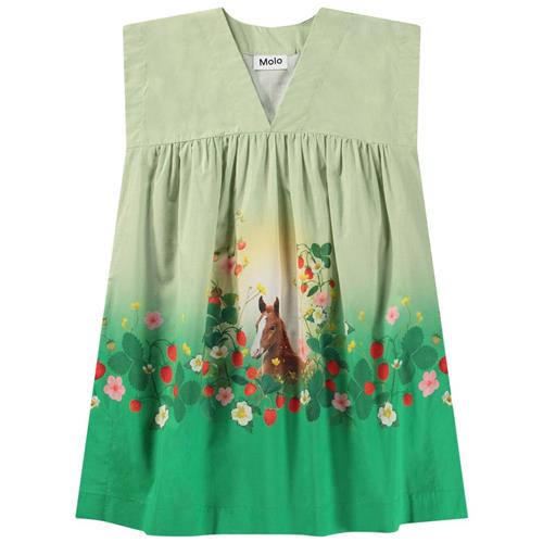 Molo Cajla Kjole Beauty 6-8 Y  Grøn  6-8 år  kvinde